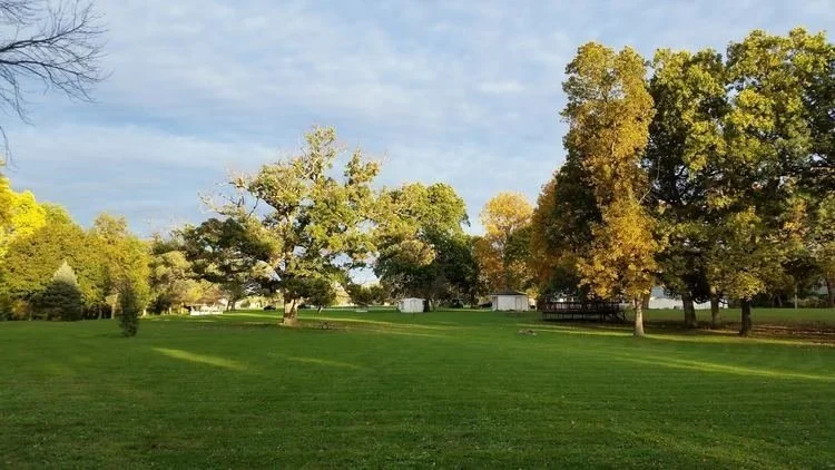 picnic+grounds+-+late+summer.jpg