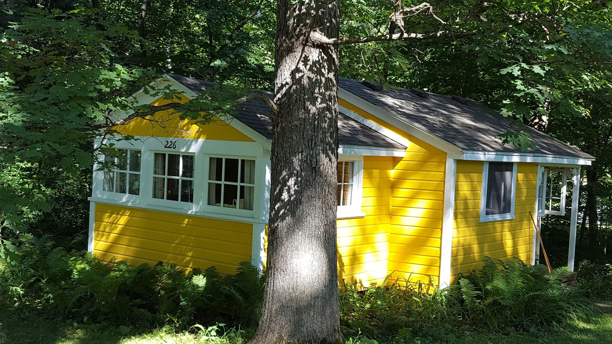 20180718_094239.jpg