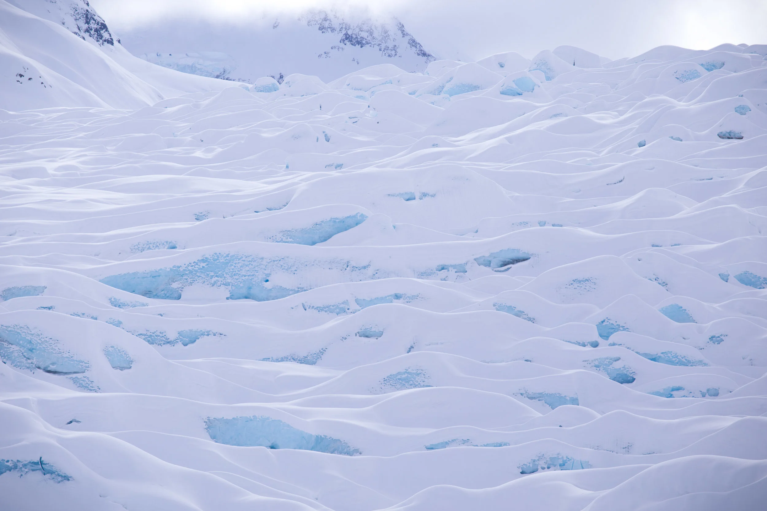 2017_03_25_ALASKA_SELECTS-WEB-7.jpg