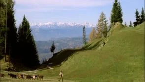 HEINEKEN - TVC - YANI