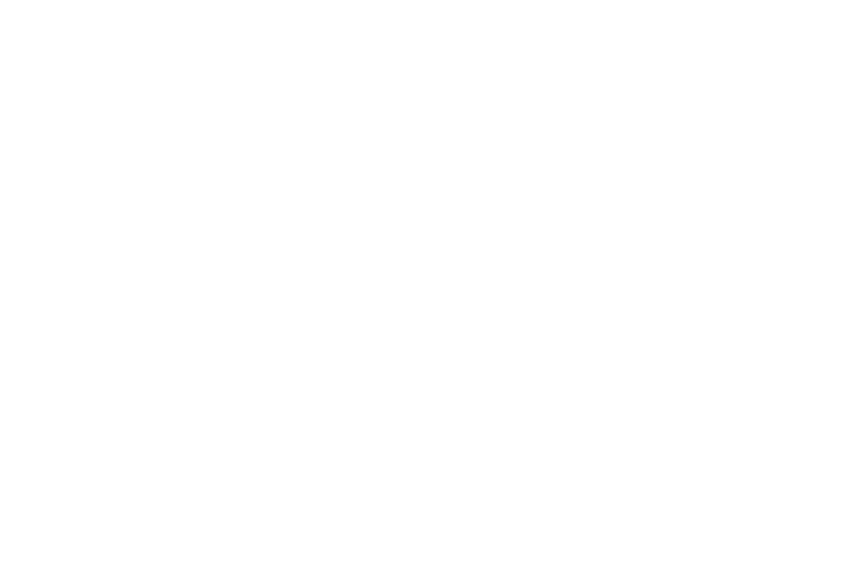 OFFICIAL SELECTION - Hawaii International Film Awards - 2023_smaller.png