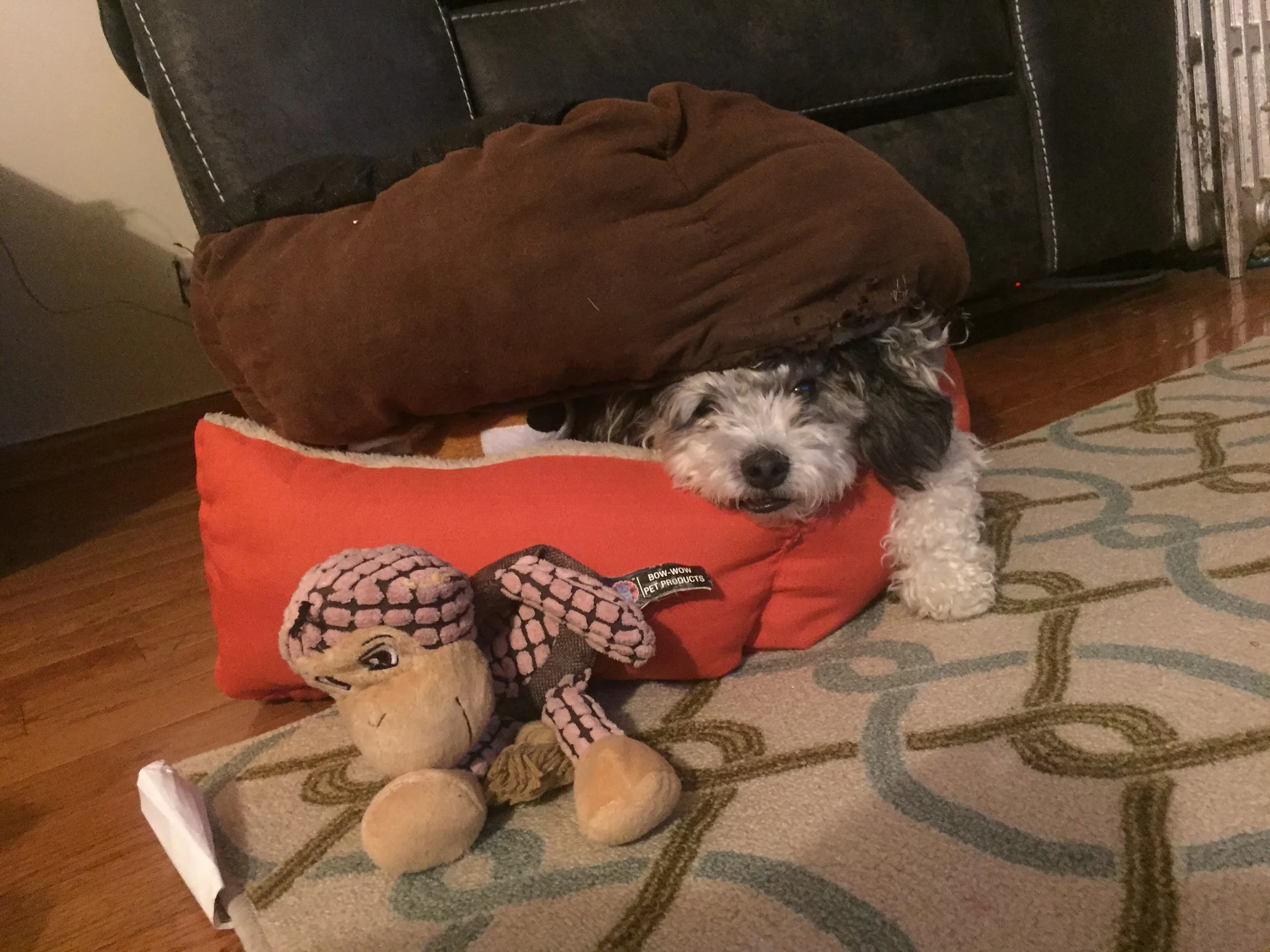 The "Bed Sandwich"