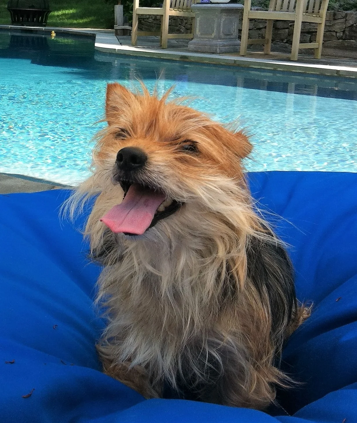 Phoebe update.jpg