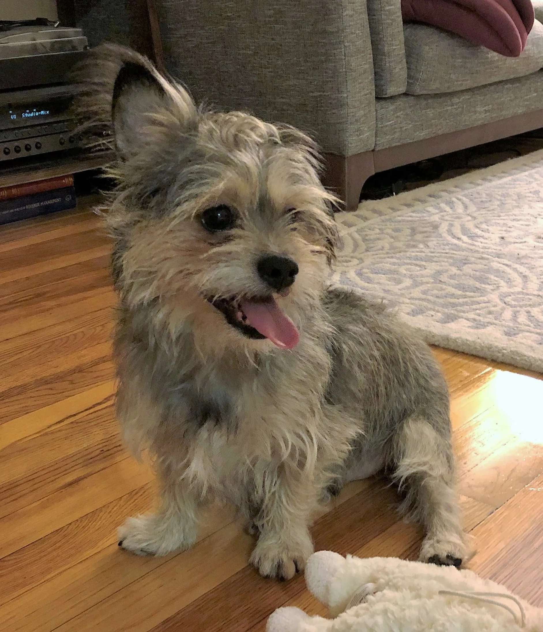 1st night in new home ... 11-9-17.jpg