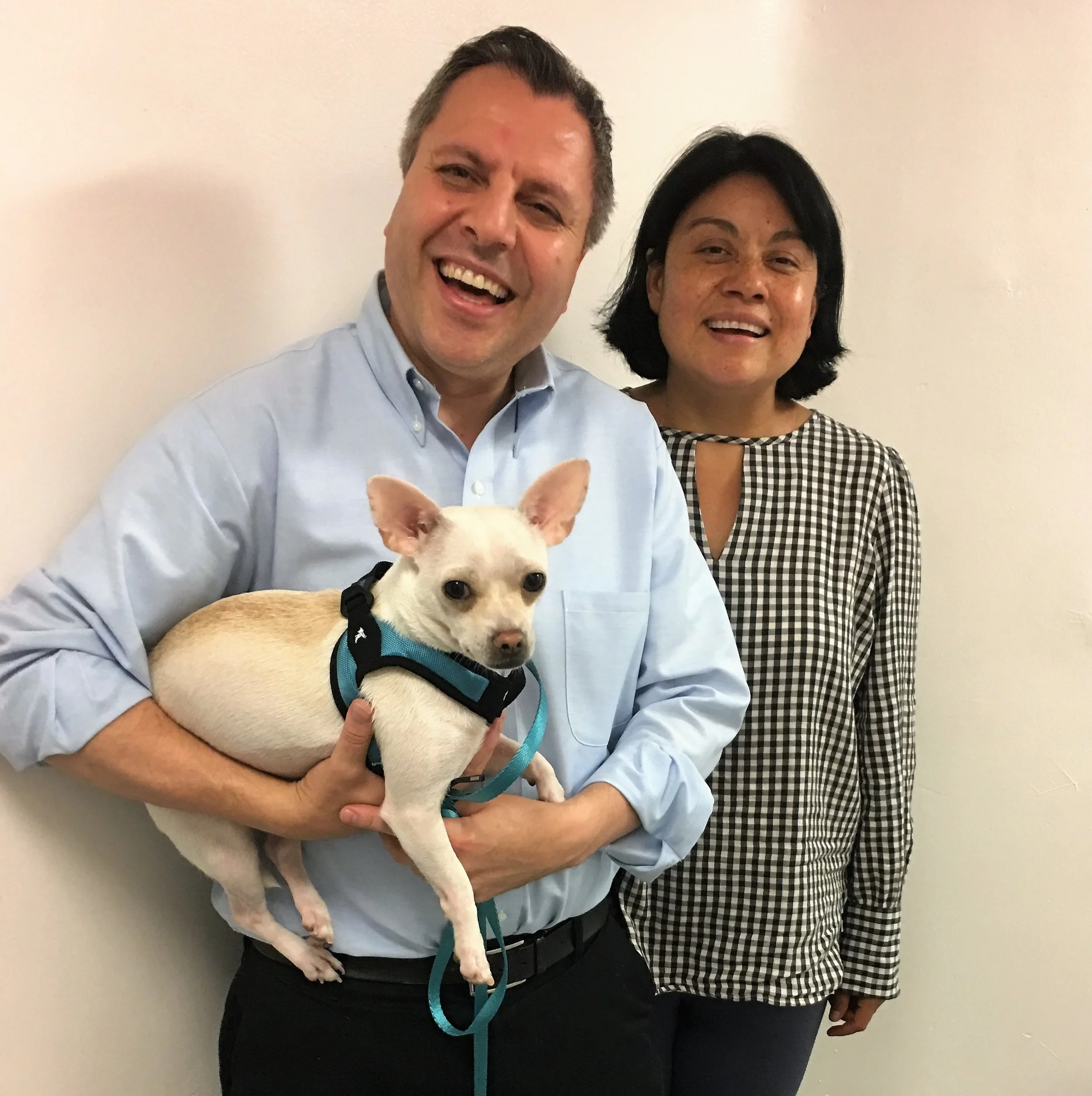 Misty adopted.jpg