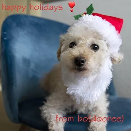 Bo update.jpg
