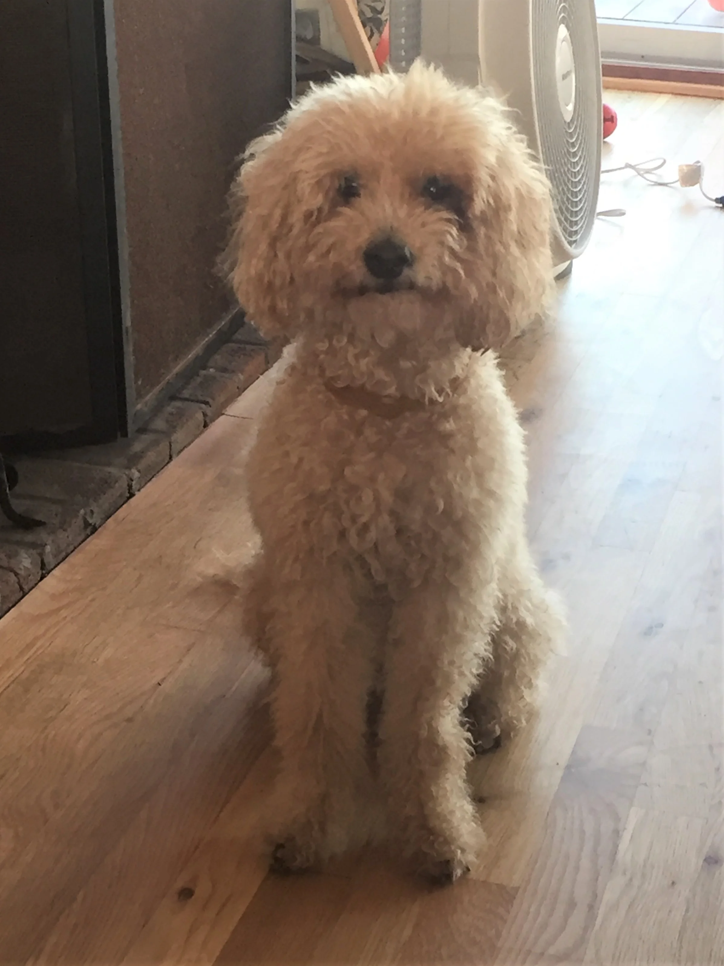 A happy healthy boy!