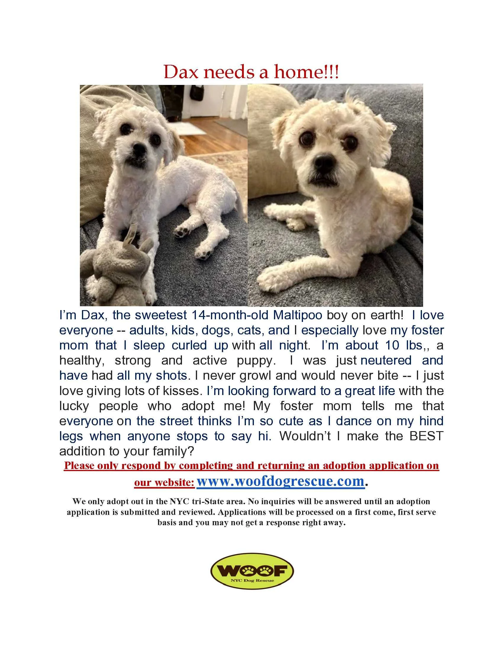 Dax Flier.jpg