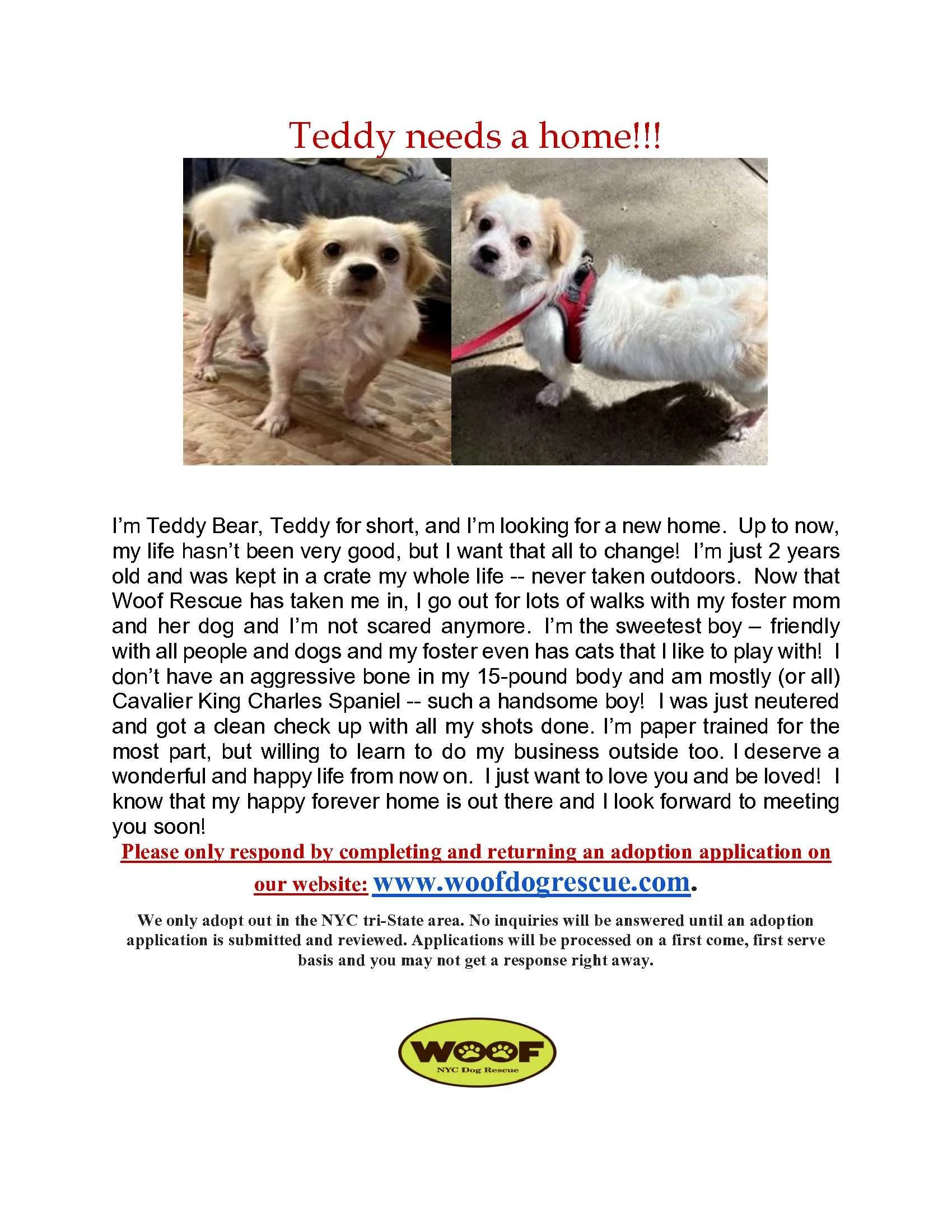 Teddy Flier.jpg