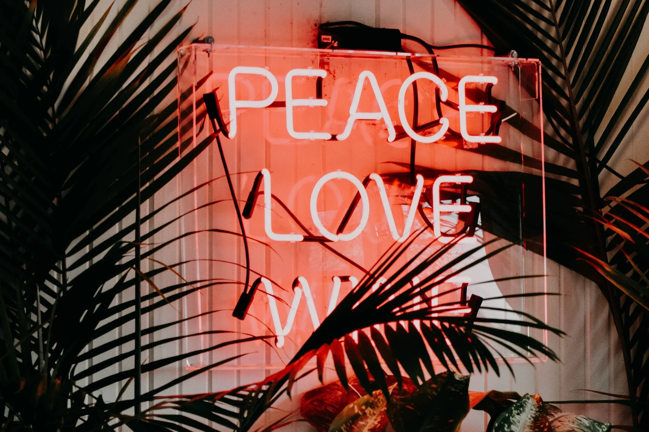 jacalyn-beales-geRpPjIiu8U-unsplash.jpg