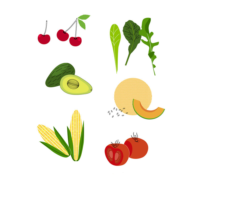   EVERYDAY FOOD  MAGAZINE FRUIT &amp; VEG ILLUSTRATIONS SPECIAL ISSUE 