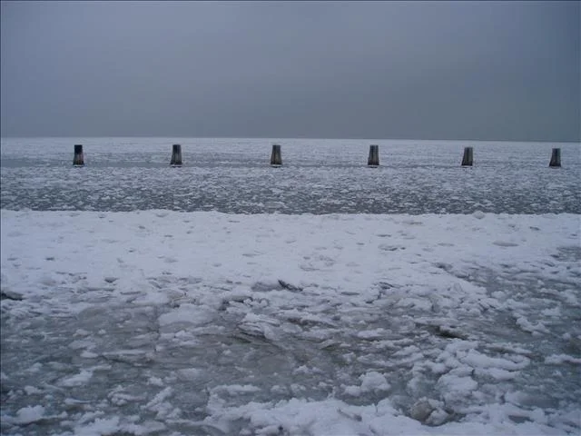 40536810.jpg