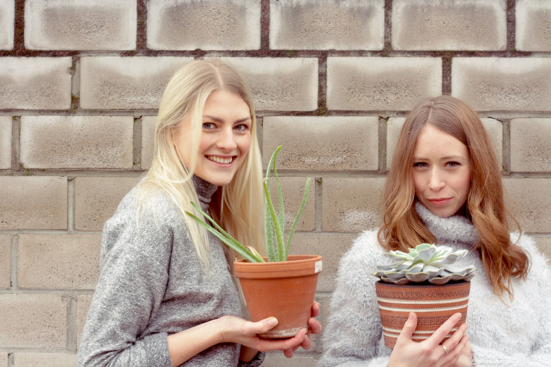 Aloe und Echeveria - zwei beinahe unverwüstliche Sukkulenten. Von der Aloe kann man ein Blatt abschneiden, ein bis zwei Wochen trocknen lassen und dann in Substrat stecken. Die Echeveriablätter legt man am besten auf Erde und wartet bis sich Wurzeln ausbilden. Dann stirbt das Ablegerblatt ab und es bilden sich aus der verbleibenden Saftkraft neue, klitzekleine Blättchen.