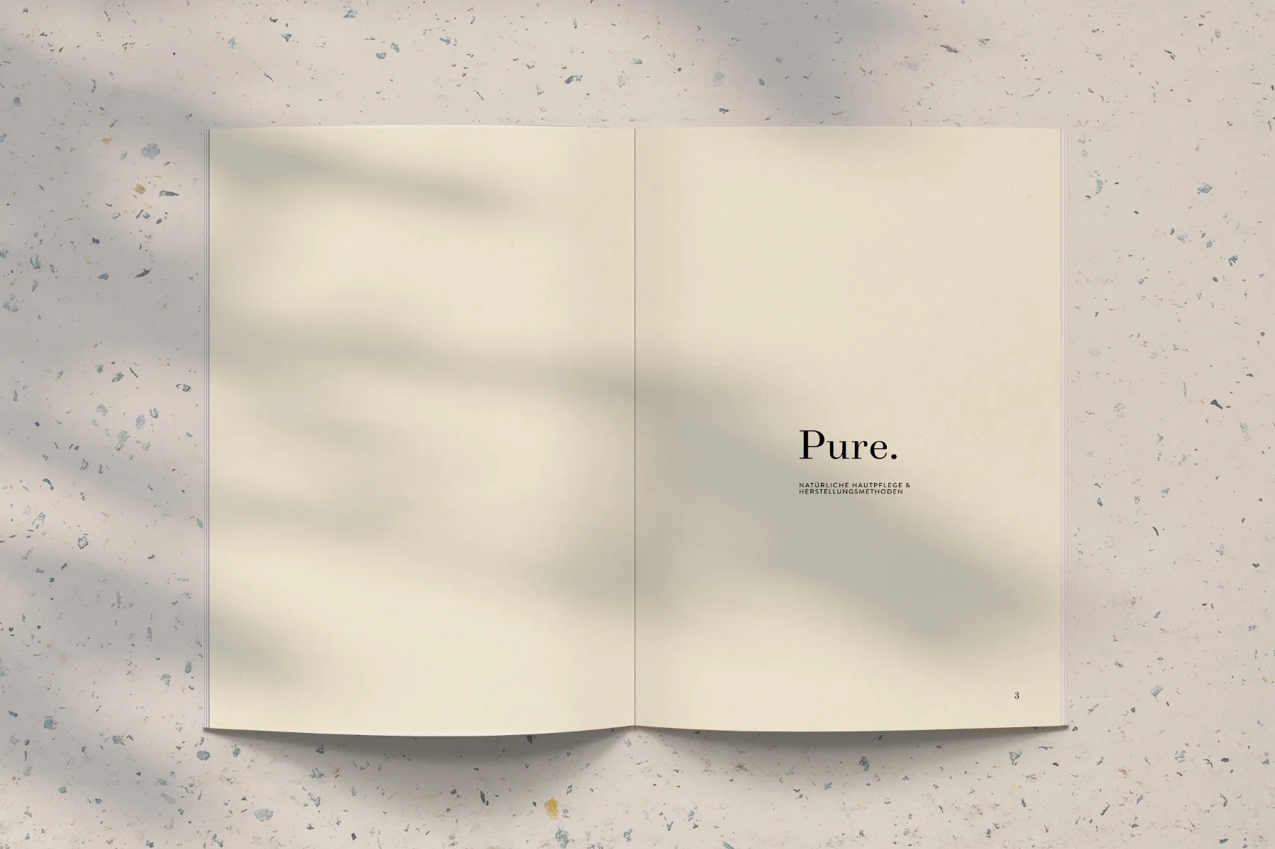 PURE.mock-2.jpg