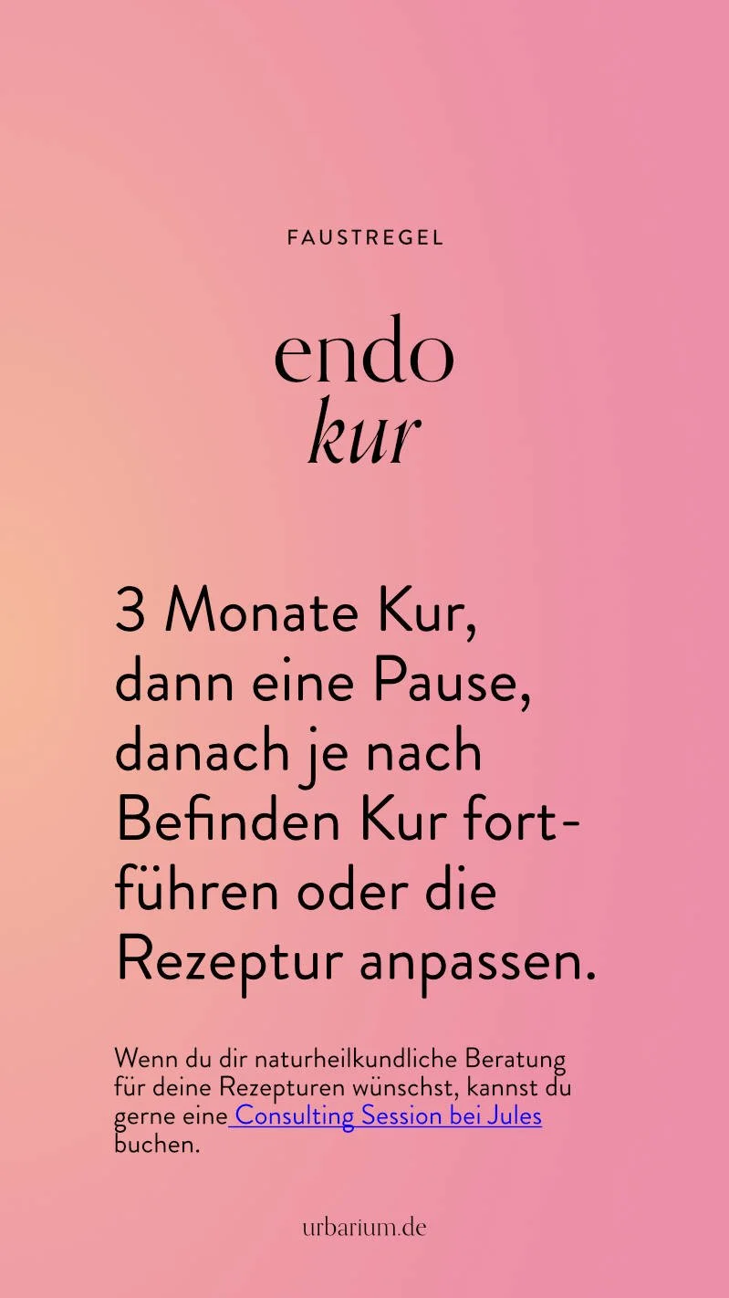Endo-Story_small_5.jpg