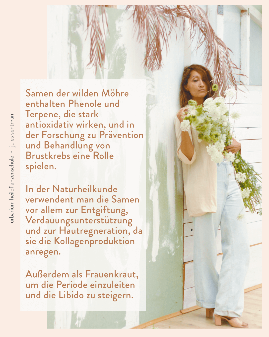 u-dauca-carota-blog-2.png