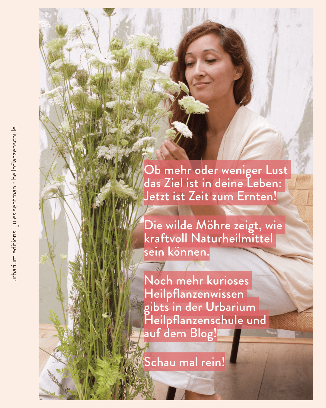 u-dauca-carota-blog-4.png