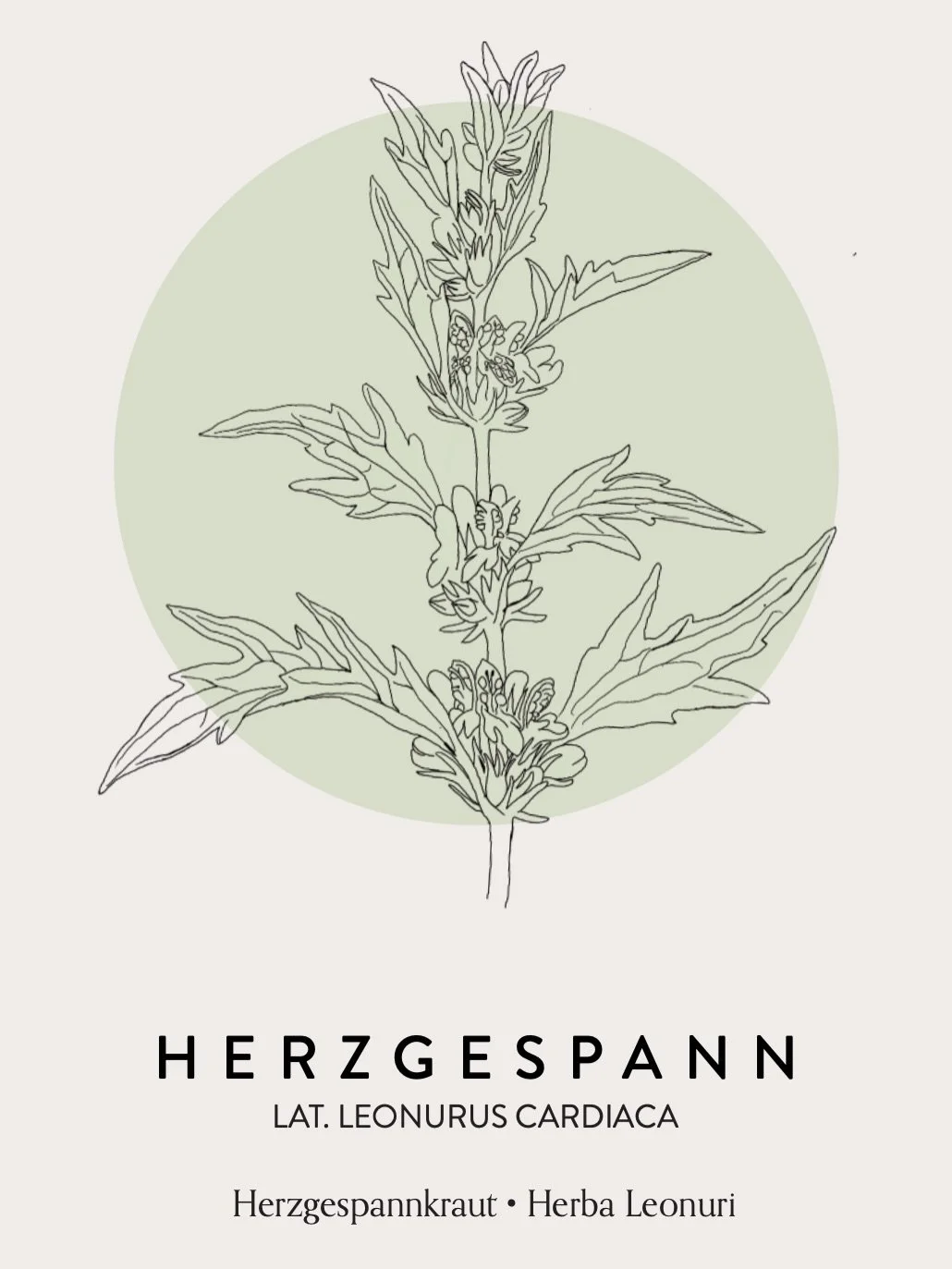 Mehr als n unseren Lernkarten.
Schau rein.
&Uuml;ber 60 hiesige Heilpflanzen, Sammeln, Lagern, Verarbeiten und Dosierung auf einen Blick.

Link im Profil.

Love und sch&ouml;nes Osterwochenende.
🩷🌹

Jules