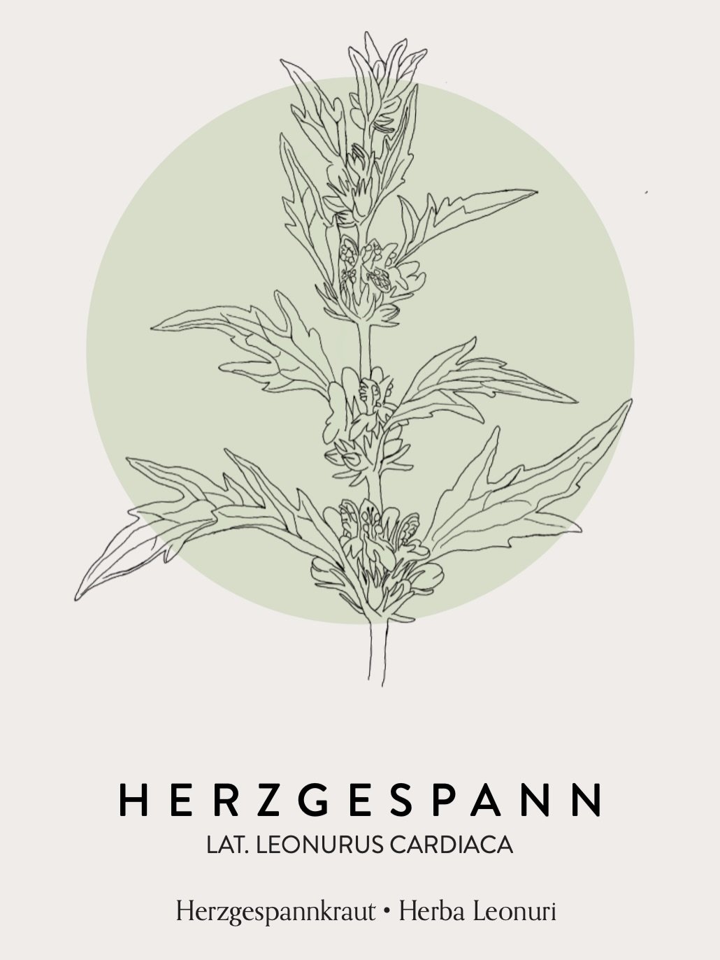 Mehr als n unseren Lernkarten.
Schau rein.
&Uuml;ber 60 hiesige Heilpflanzen, Sammeln, Lagern, Verarbeiten und Dosierung auf einen Blick.

Link im Profil.

Love und sch&ouml;nes Osterwochenende.
🩷🌹

Jules