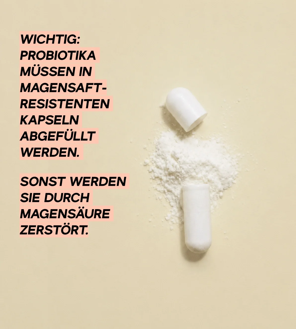 Nach Eisen Bauch aufgebläht? Diese Lactobazillen helfen