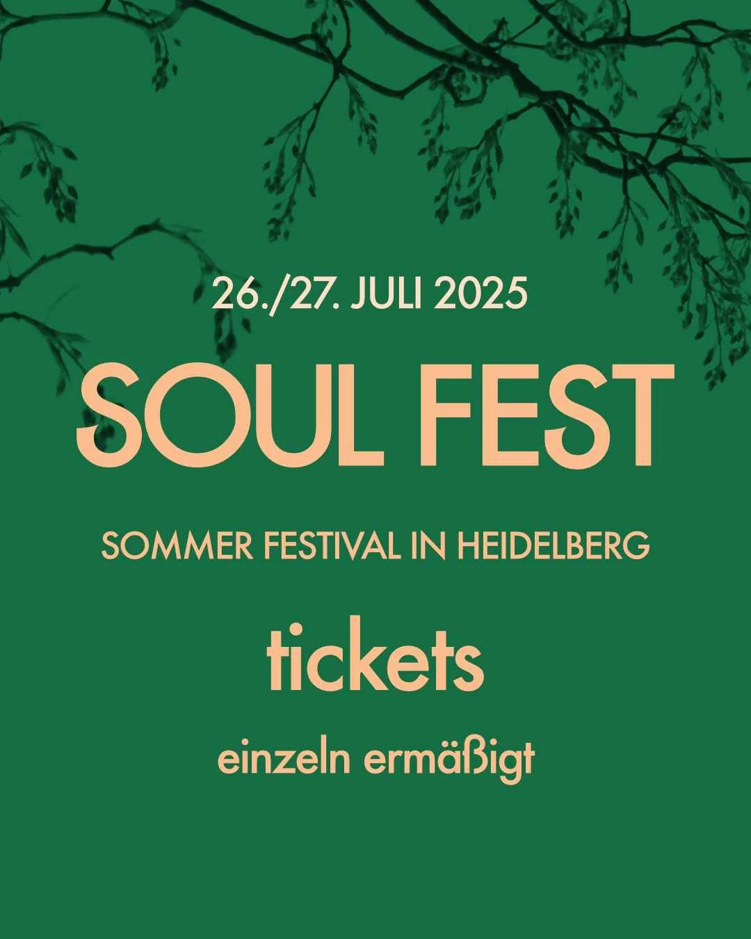 SOUL FEST #9 - TAGESKARTEN Ermäßigt