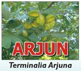 ARJUN Head.jpg