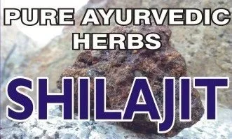 SHILAJIT+copy.jpg