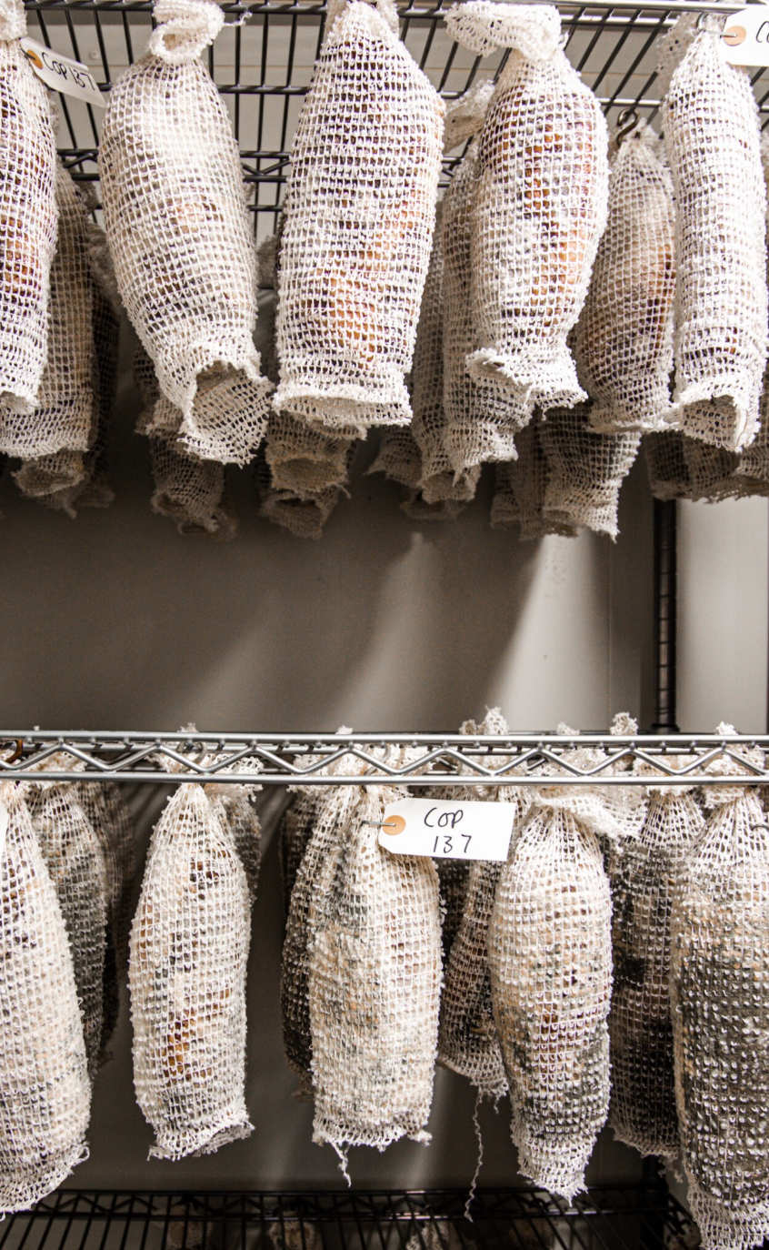 Screenshot 2026-01-12 at 14.05.03.png