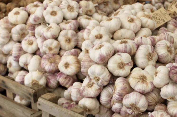 Screenshot 2026-02-23 at 13.20.03.png