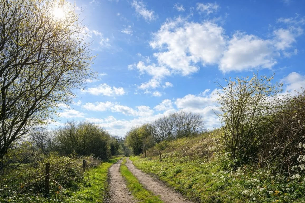 Spring has gently arrived at Hartgrove Farm 🌿
Snowdrops are giving way to bright crocuses and daffodils, wild garlic is creeping in to the hedgerows, and the first early caterpillars are braving the sunshine. Robins hop happily through the soil as i