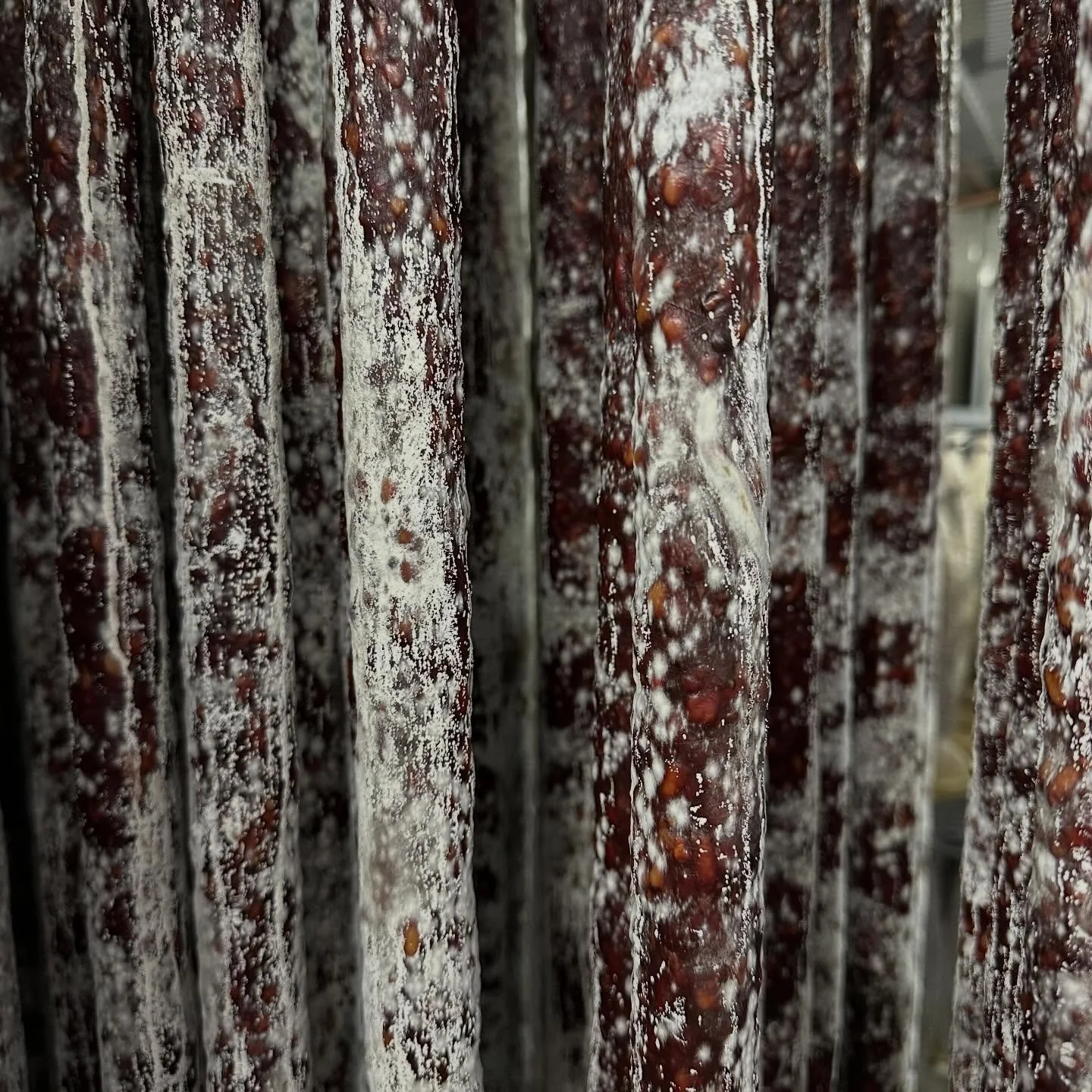 Wild Venison Pepperoni aging nicely.