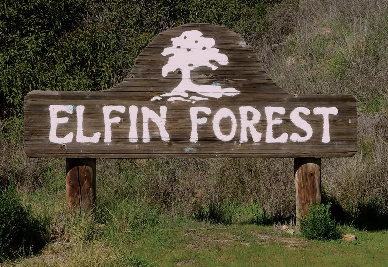 elfin.jpg
