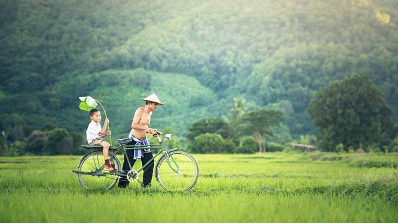 Cycling-in-Vietnam-father-and-son-rice-paddies-Shutterstock.jpg