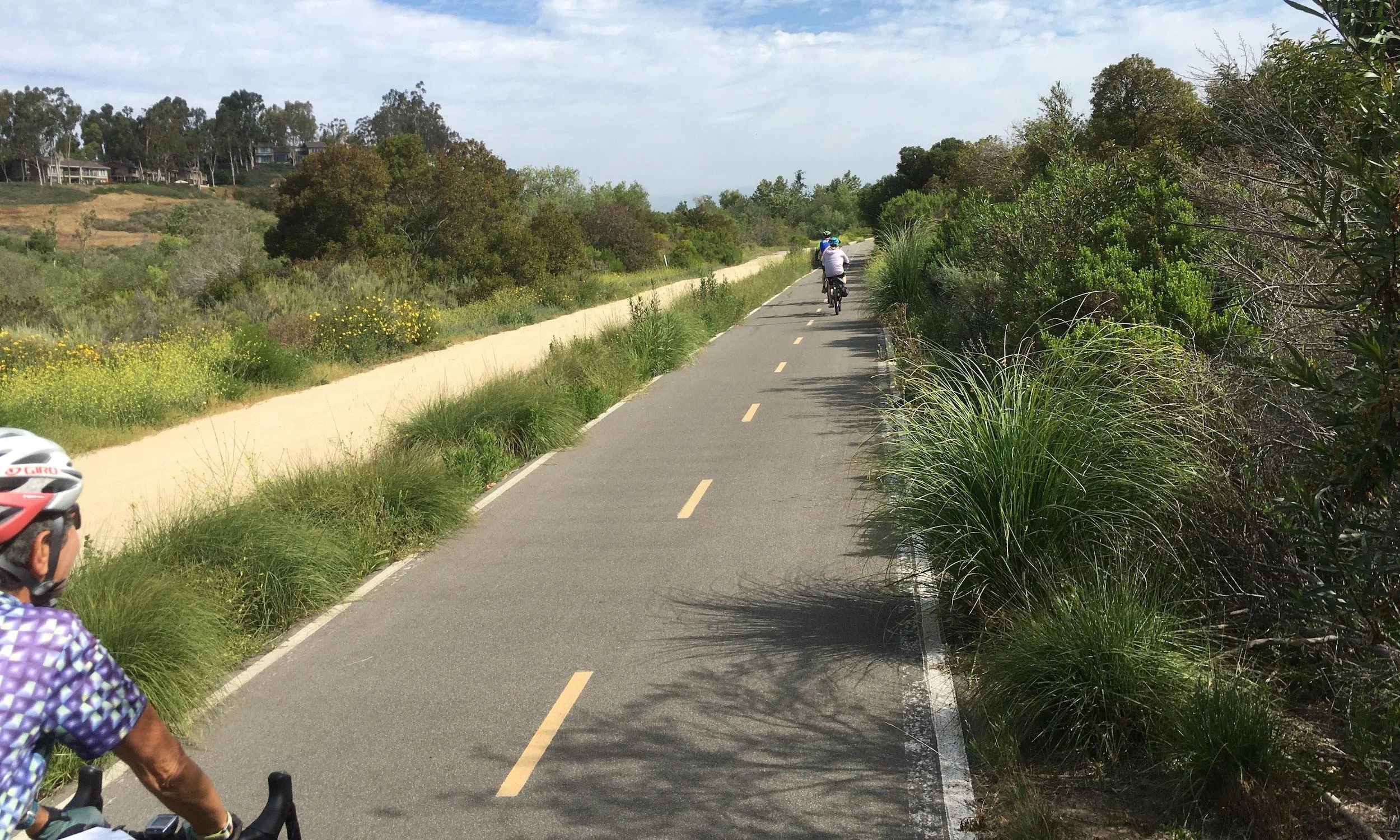 local_bike_trail.jpg