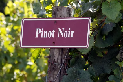 Pinot Noir Tasting