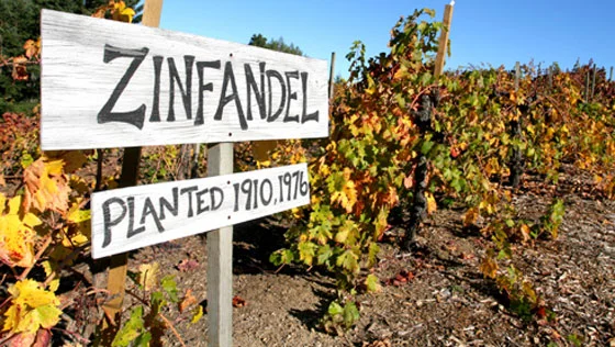 Zinfandel Tasting