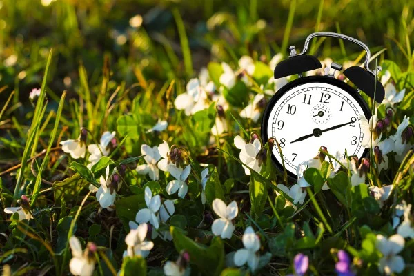 Spring Forward Wine Tasting