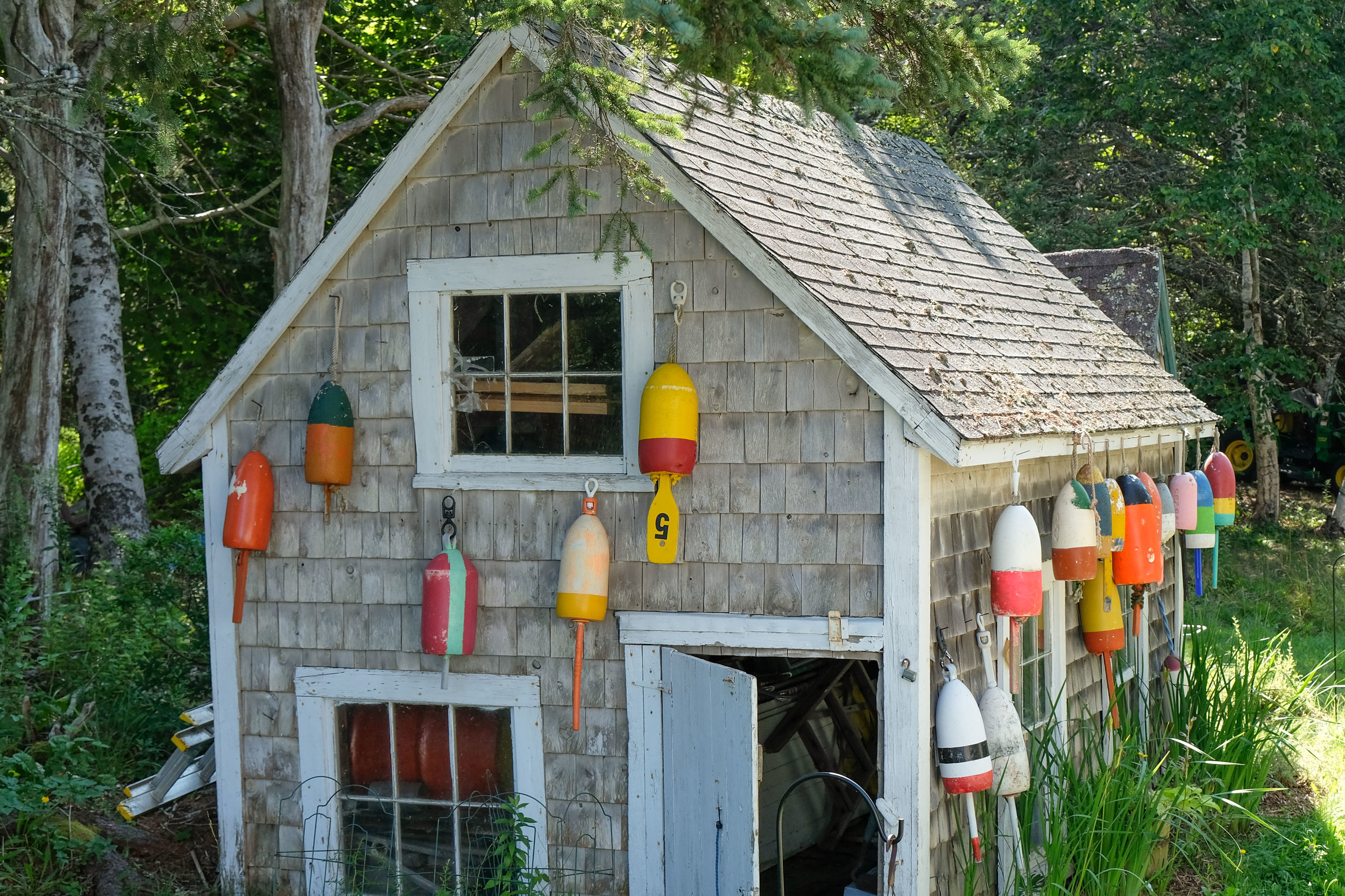 DSCF8135.jpg