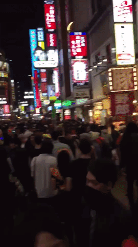 giphy (1).gif