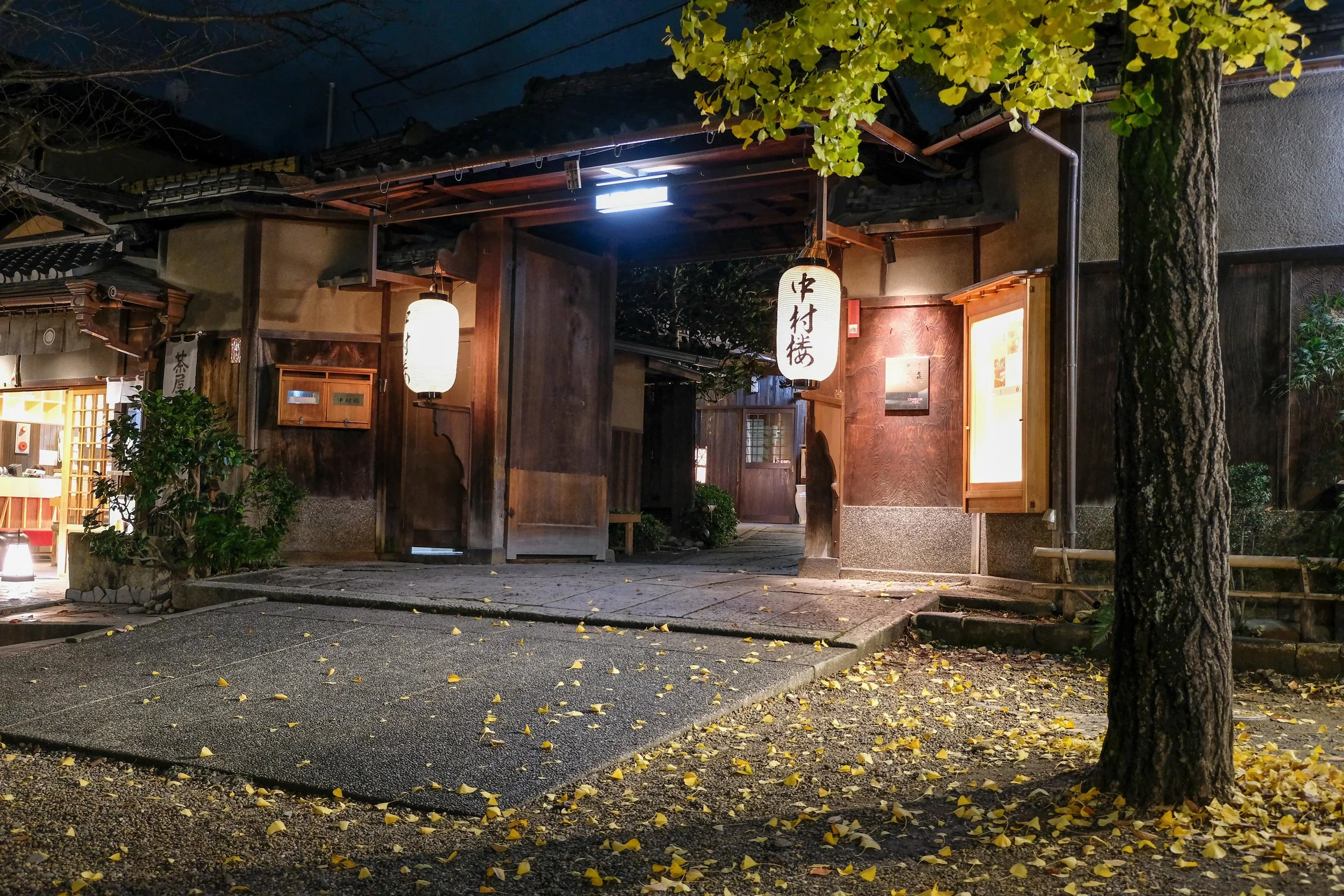 DSCF6884.jpg