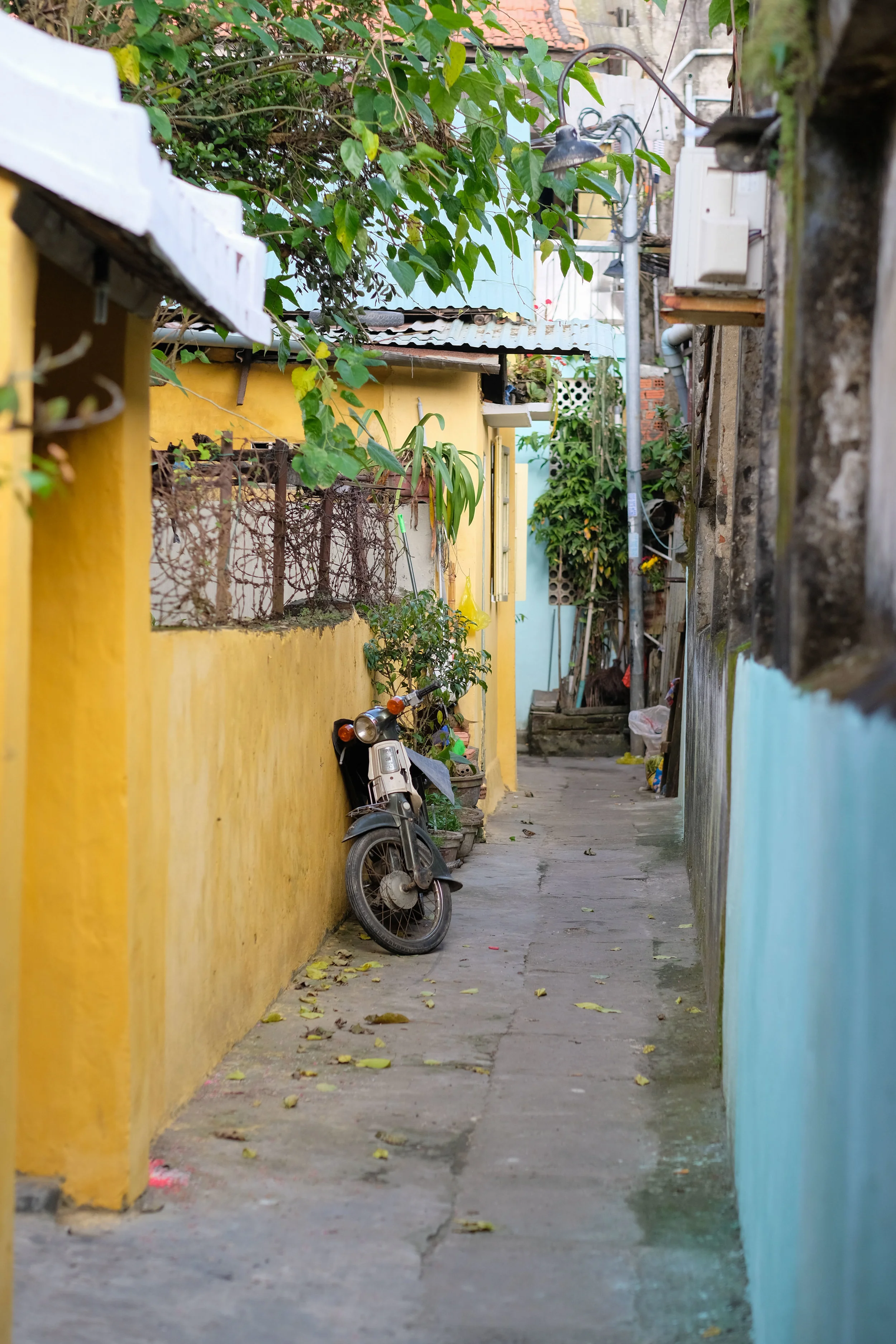 DSCF6593.jpg