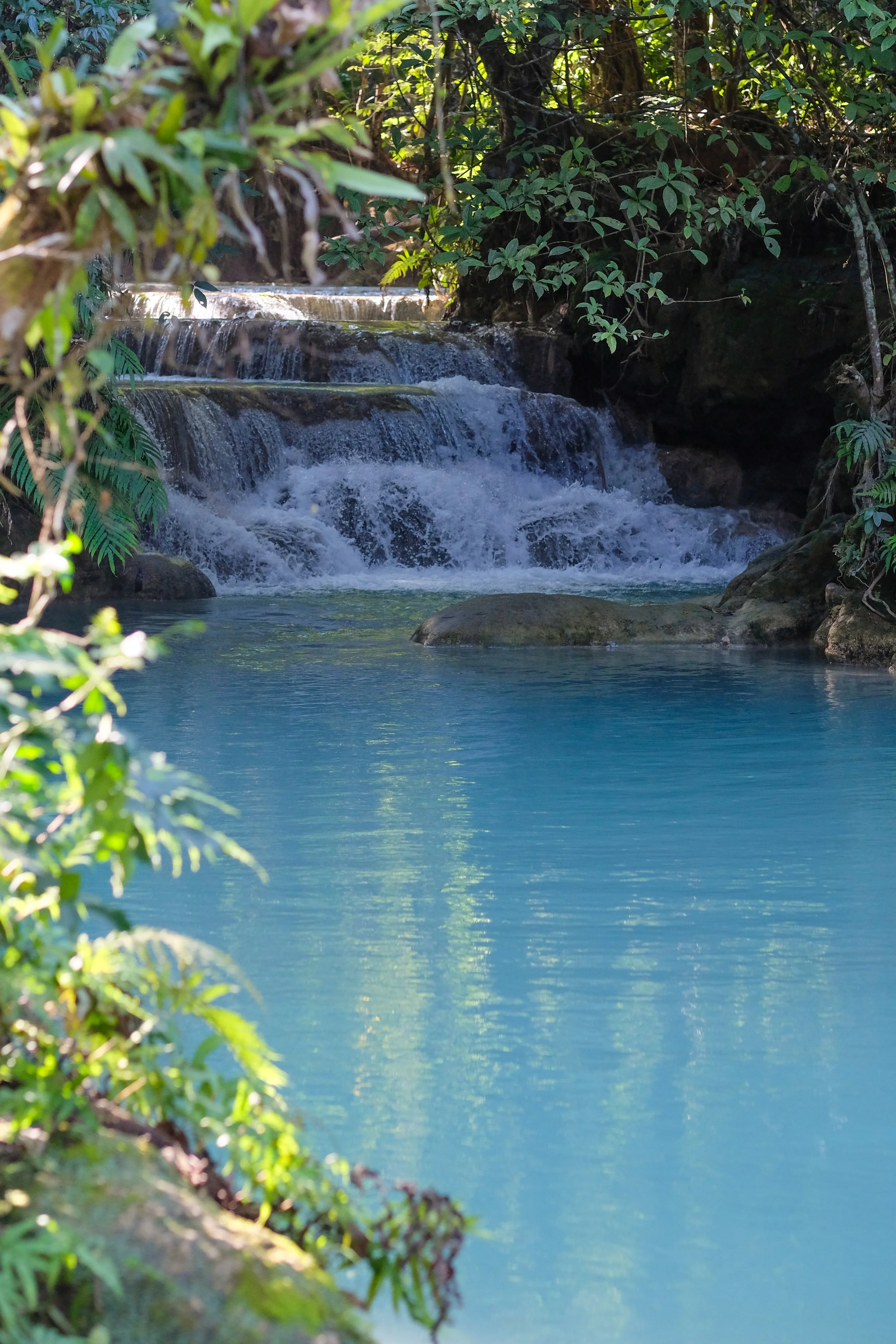 DSCF5878.jpg