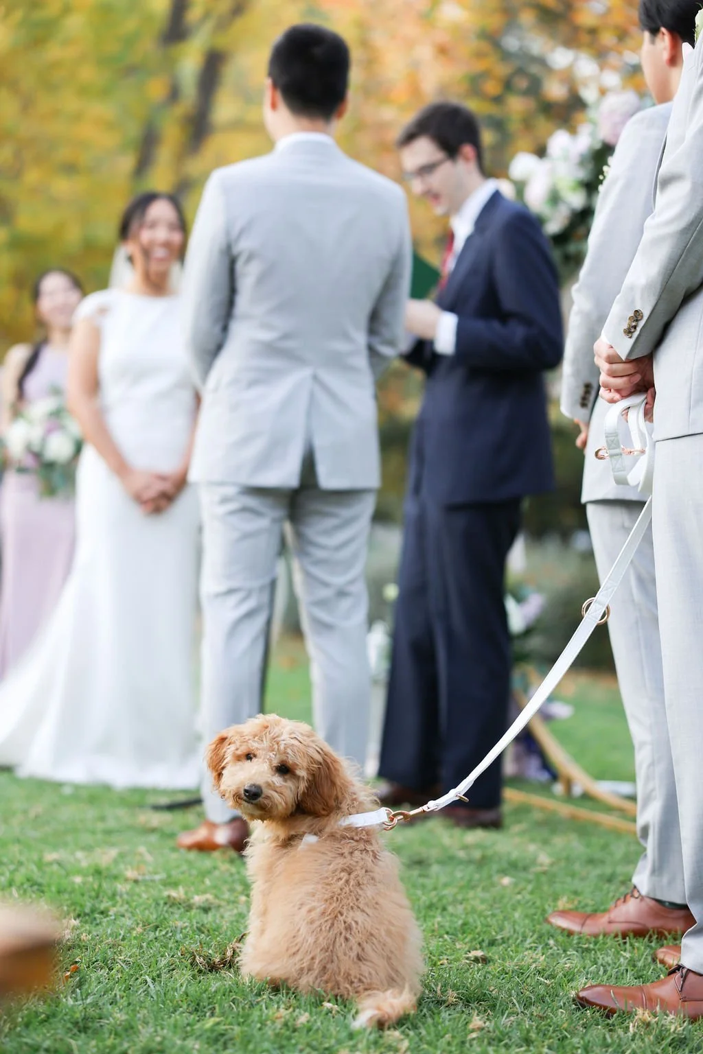 A goldendoodle sits patiently at the front of the ceremony while the bride and groom exchange vows in soft focus behind, autumn leaves framing the moment.