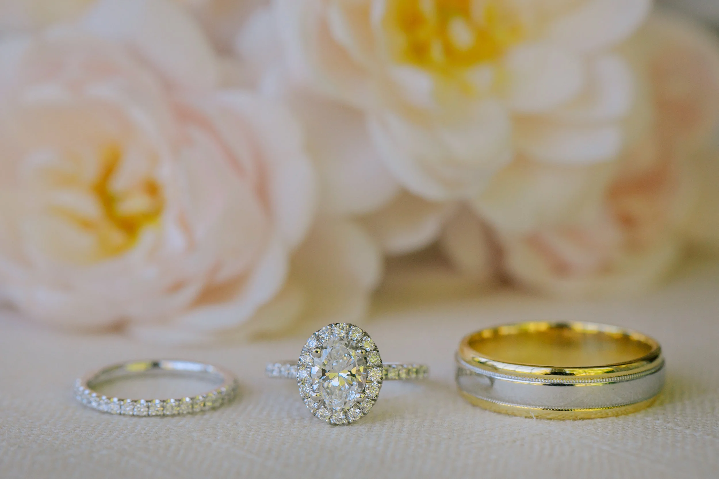 C&M rings.jpg