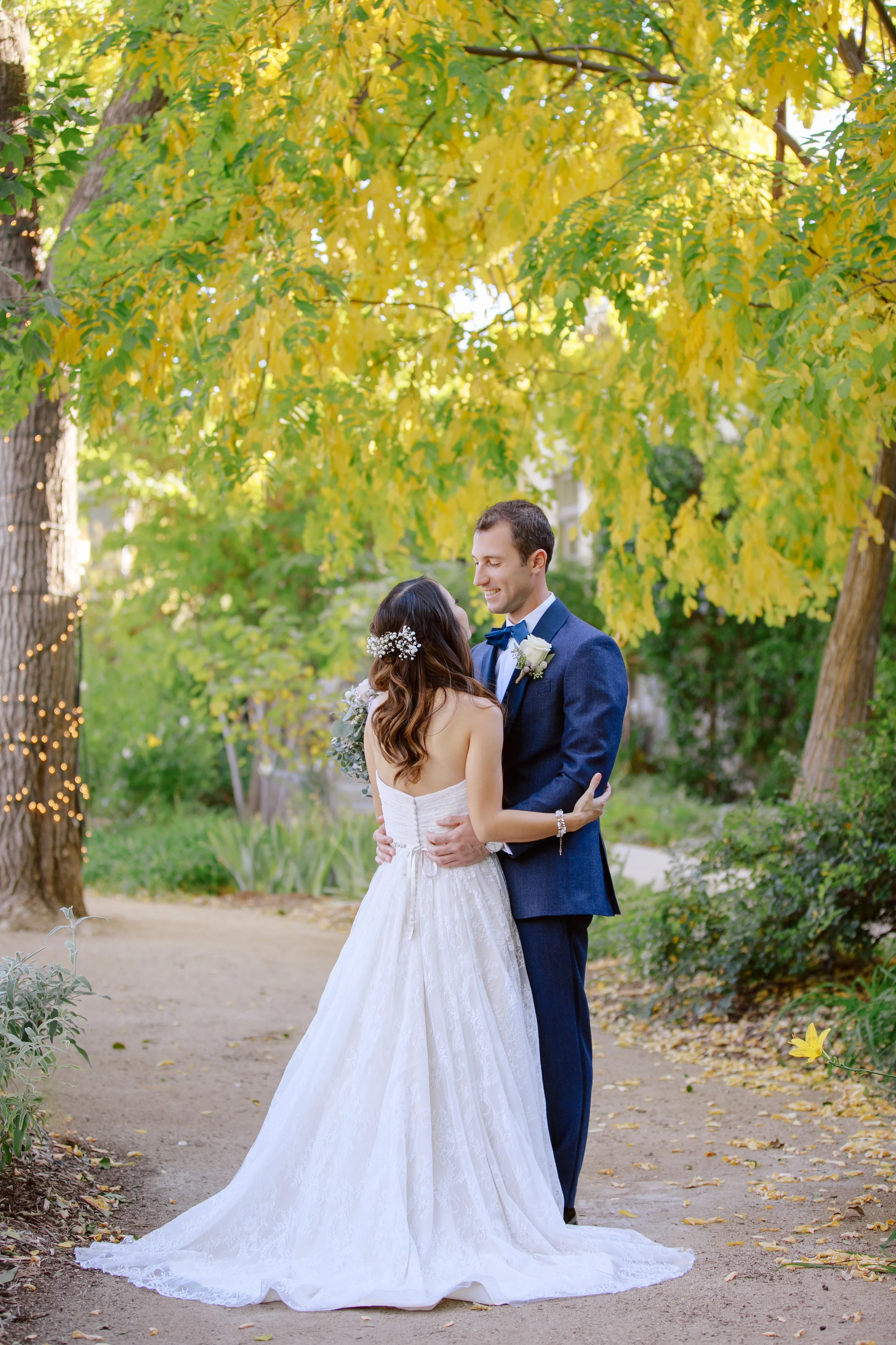 C&M fall trees.jpg