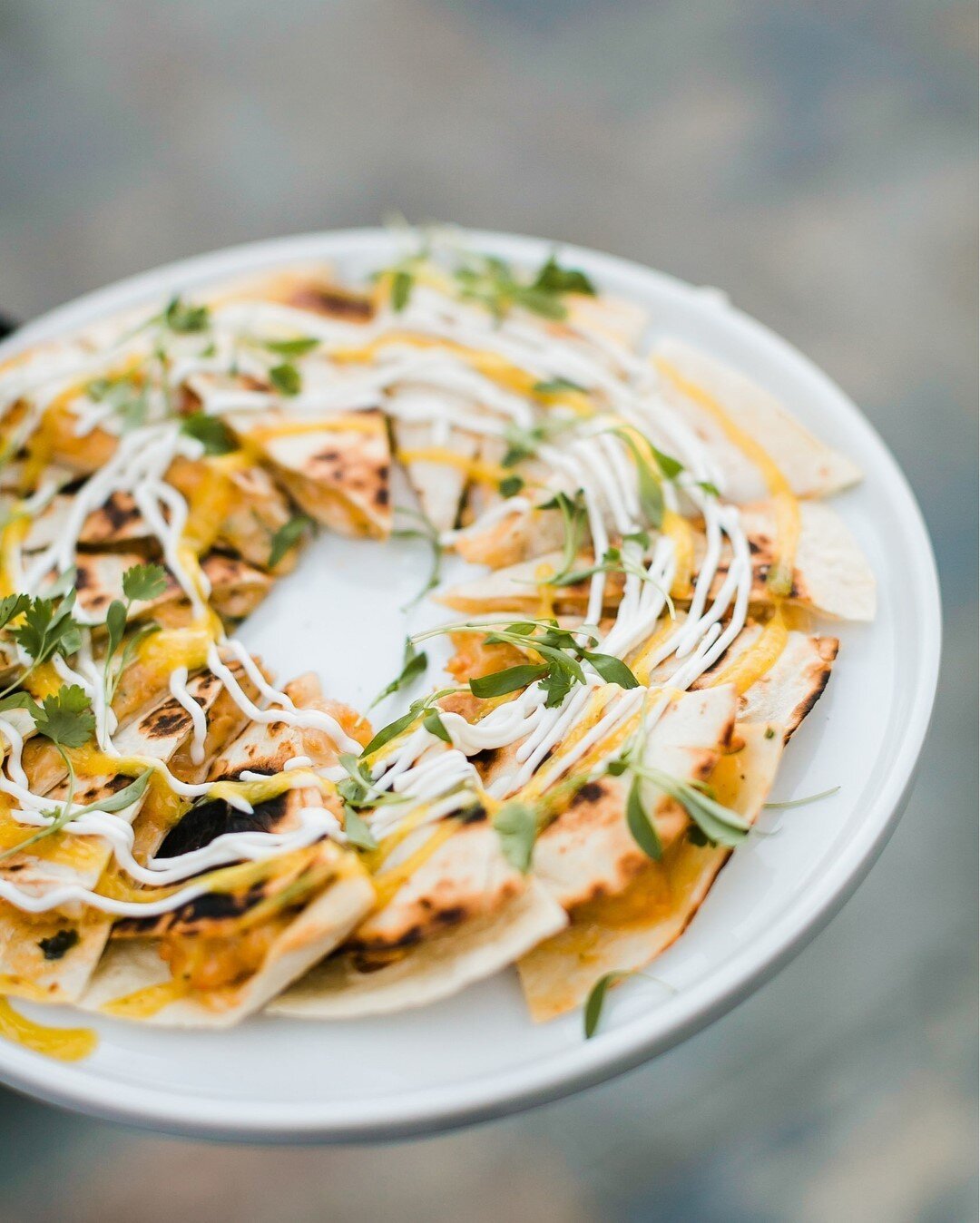 Grilled shrimp quesadilla with mango habanero salsa, crema, and micro cilantro⠀⠀⠀⠀⠀⠀⠀⠀⠀
🍤 🌶 🌿 ⠀⠀⠀⠀⠀⠀⠀⠀⠀
. . . . .⠀⠀⠀⠀⠀⠀⠀⠀⠀
📷 @julieshufordphotography⠀⠀⠀⠀⠀⠀⠀⠀⠀
🍽 @chefcordelia