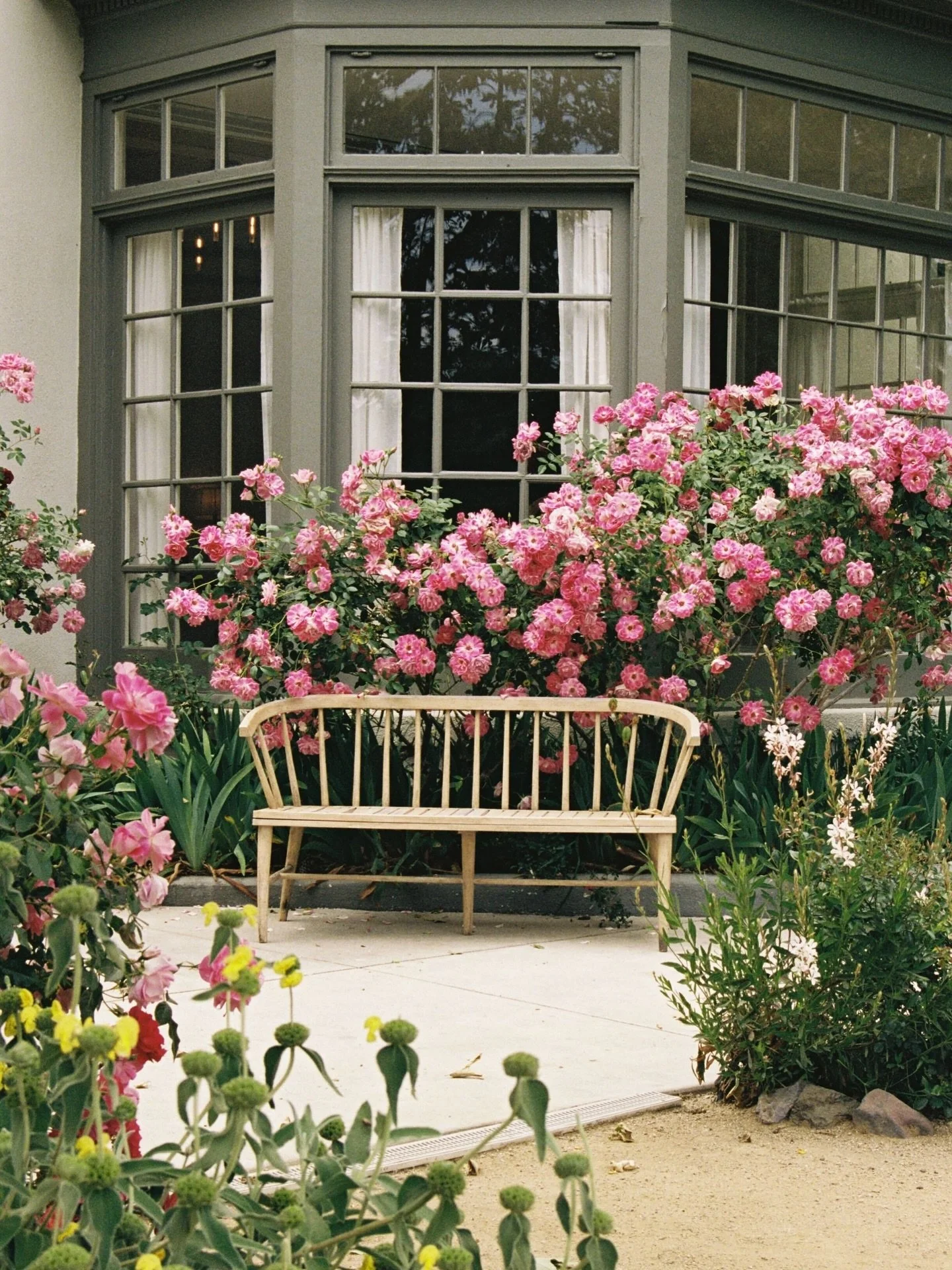A sign that spring has arrived at the Lodge! The gardens are waking up, the days are getting longer, and Spring wedding season is here! 

Photographer: Simple Andri 
#maliboulake #springatthelodge #malibouweddingvenue #gardenwedding #californiaweddin