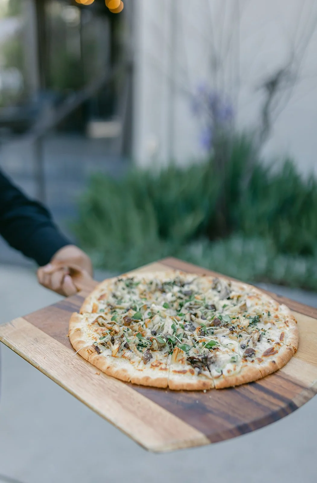 Wild Mushroom Pizzette