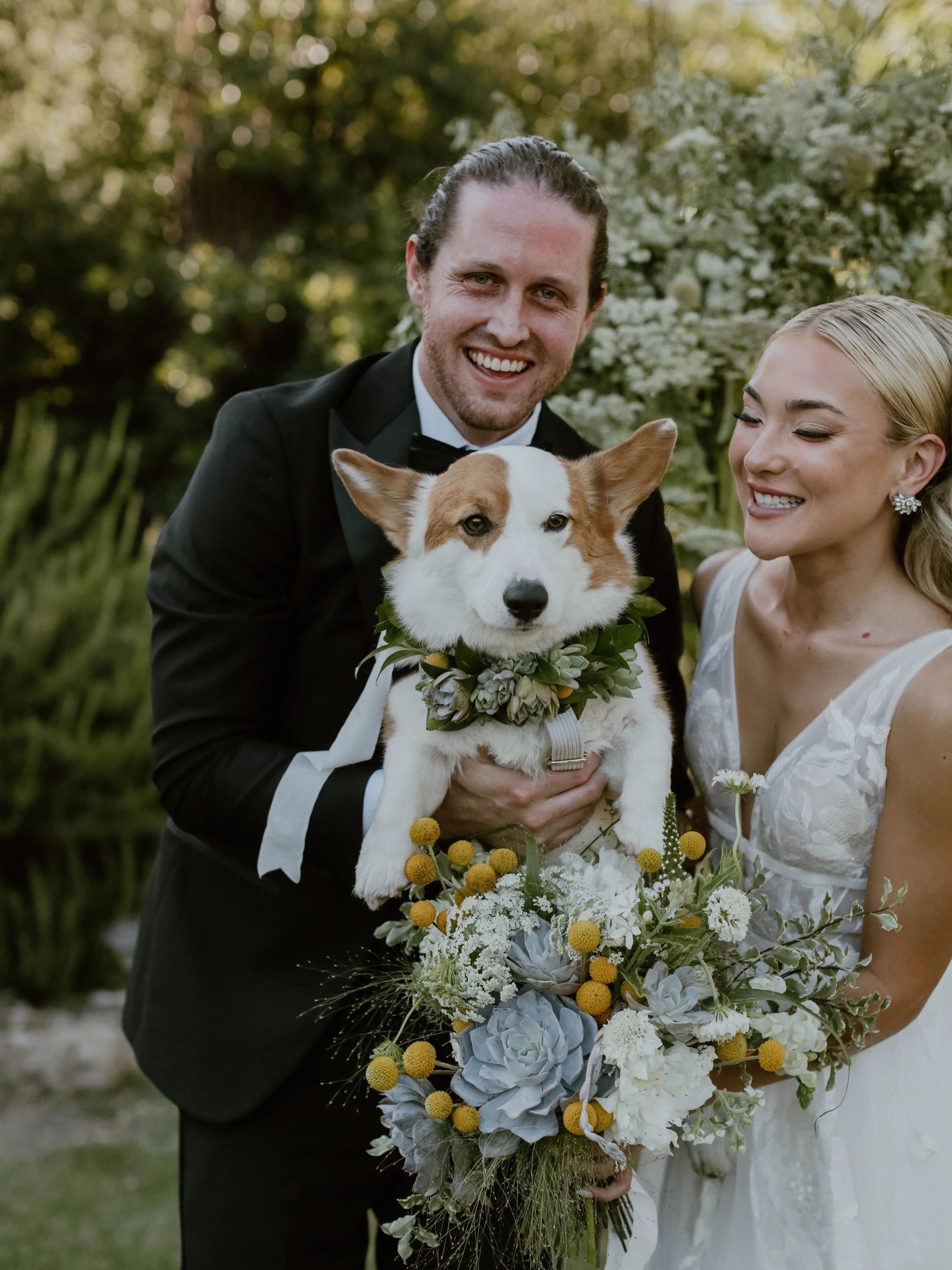 Because they&rsquo;re part of the story, too. 🐾

From walking down the aisle to moments like this, there are so many ways to include your pets in your wedding day.
We shared a few of our favorite ideas on the blog &raquo; link in bio

Photographer: 