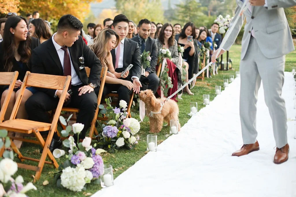 A small goldendoodle puppy walks down the candle-lined aisle at The Lodge at Malibou Lake, greeting smiling guests along the way.